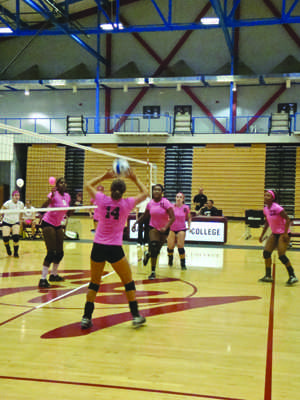 Tessa Butterfield (#14) throws to Southwestern College player  at the Harry West Gym at City College during the second game of a breast cancer awareness benefit.  Mariel Mostacero, City Times