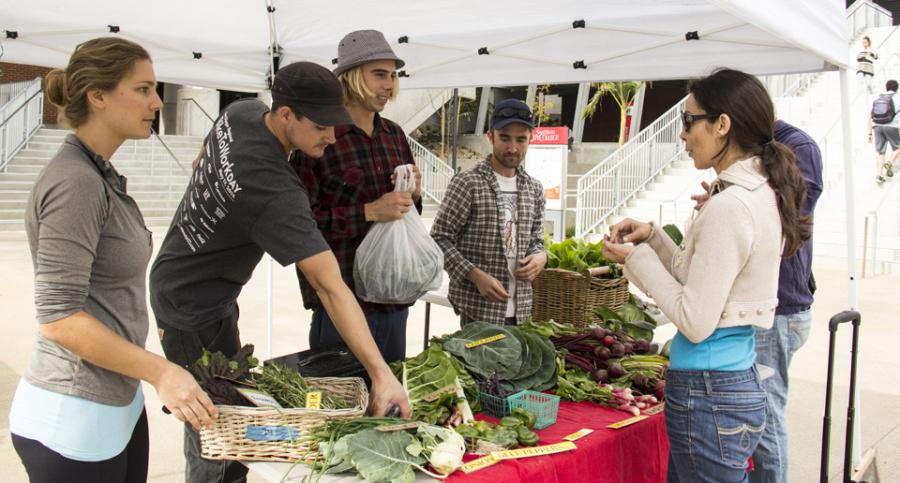Student Bianca Gomez (far right) buys produce Dec. 1 at the Seeds@City farm stand. Managing the stand are (left to right) Claire Groeber, Dan Summers, Kevin Bateman and Mark Valen. (Photo by Celia Jimenez)