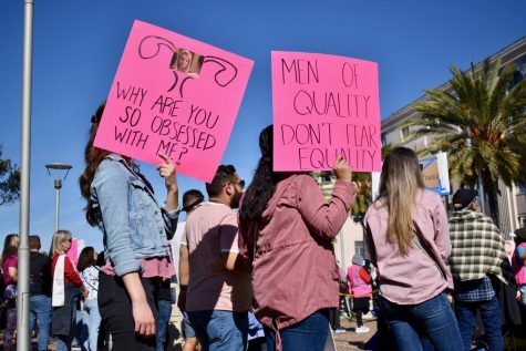 Two pink sins that read "Why are you so obsessed with me?" with a drawing of the female reproductive organ and "Men of quality do not fear equality"