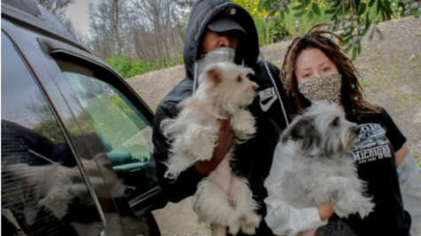 Ty Johnson and Nicole Mckissick holding their dogs