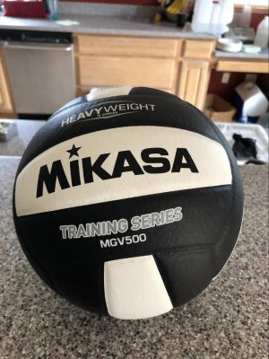 weighted setter ball