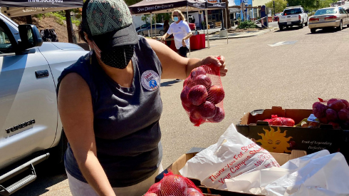 Hunger Action Day volunteer Sylvia Ramirez organizes bags of plums.