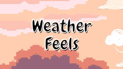 Weather Feels