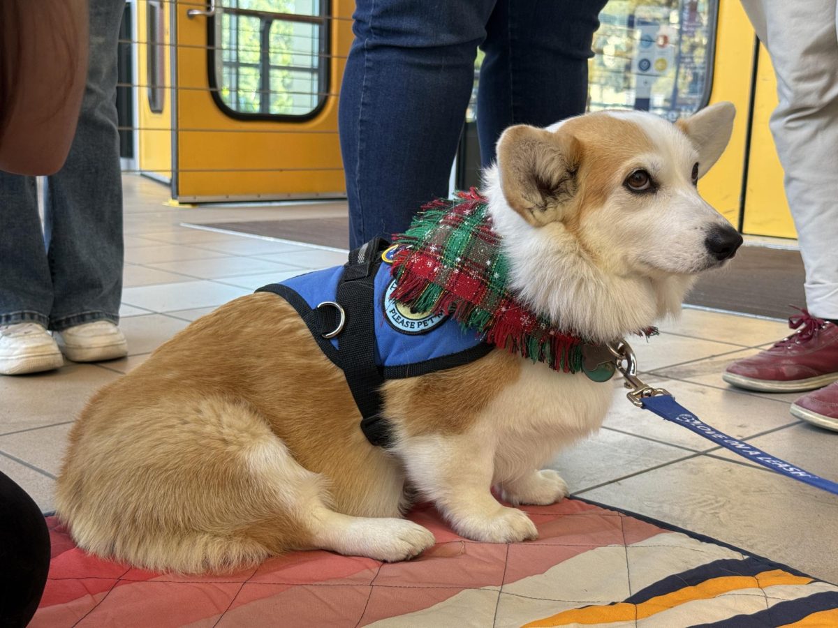 Love on a Leash provides services to stressed-out students