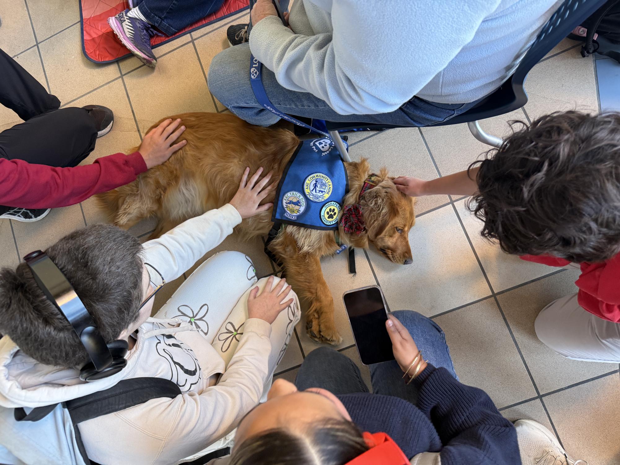 Ella, a golden retriever, is pet by multiple people during the Love on a Leash collaborative event at the San Diego City College Library Monday, Dec. 2, 2024. Photo by Luke Bradbury/City Times Media
