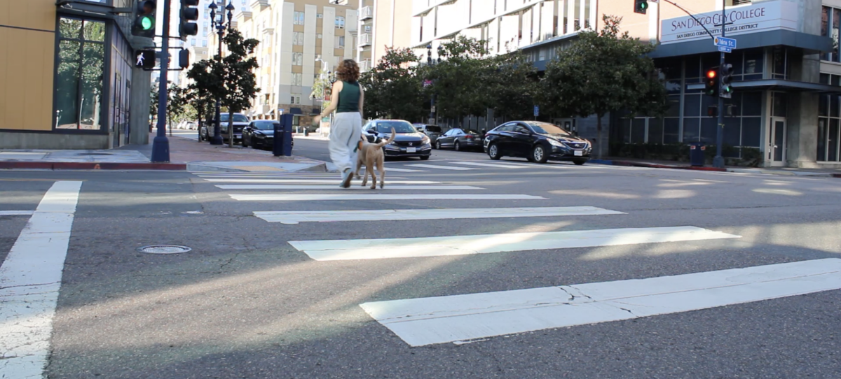 A unidentified woman walks her dog across the intersection of 16th and Broadway near San Diego City 5 Freeway, Wednesday, Nov. 19, 2025. Photo by Tresean Osgood/City Times Media